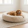 My Dog's Favorite Bed!