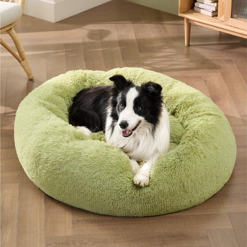 Products Cozy Comfort for Every Pet