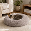 Perfect for My Cat